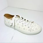 Loft  Off White Eyelet Sneakers Photo 1