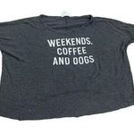 Sadie and Sage  dark charcoal gray cropped shirt sz M Photo 0