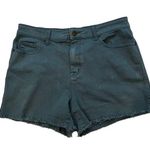 BDG Urban Outfitters High-Rise Teal Denim Shorts | Blue/Green | Size: 32 Photo 0