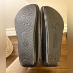 Alegria NEW  Women's Mules Sz 37 Photo 8