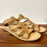 Kork-Ease Gaby Gladiator Sandal Size 6 Photo 2