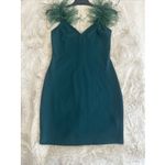 Camille La Vie ,  Dress featuring feather-trimmed straps and a back‎ zipper S Photo 7
