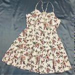 No Boundaries NWT! NoBo mini dress , XL Photo 1