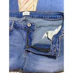 Special A  Womens Jeans Blue Denim 1XL 1X Skinny Stretch Cotton Blend Photo 4