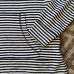 Z Supply Striped Sweatshirt Photo 2