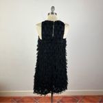 Anthropologie  Roxie Textured Feather Fringe Dress Photo 5
