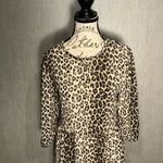 ZARA  Animal Print Long Sleeve Dress Size XS Photo 1