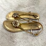 Antonio Melani Floral Gold Flat Sandal Size 10 Photo 1