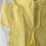 Anthropologie Maeve The Colette Embroidered Crop Wide-Leg Pants, Size 28P Photo 7