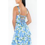 Show Me Your Mumu Lady Corset Dress in Cottage Floral Blue M Photo 4