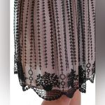 Valentino Garavani Valentino Red Elegant Black Embroidered‎ Tulle Skirt Photo 4