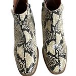 Franco Sarto Nwot leather ankle boots Photo 2