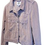 The Great SUNSET LANE corduroy jacket;  condition; size XL Photo 2