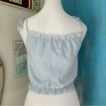 Brandy Melville  John Galt Blue Striped Tank Top Photo 2