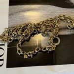 J.Crew  long gold chain necklace Photo 0