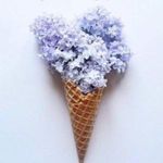 Free People  Mini Dress 10 Miss Connections Lace Fuchsia Fit Flare Cocktail Party Photo 6