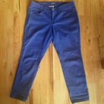 Ann Taylor ✨ CURVY SKINNY ROYAL BLUE JEANS✨ Photo 1