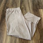 Eileen Fisher Tan Beige Wide Leg Stretch Relaxed Pants XL Photo 1