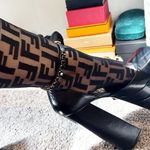 Fendi Authentic Discontinued Sheer Black Motif FF Logo Socks / Hosiery Photo 0