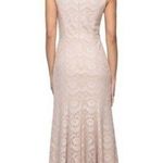 Alex Evenings New! Women's Jeweled Lace Mermaid Gown Dress Size 6 Color Cameo Photo 1