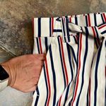 ZARA  Trafaluc Collection Cropped Wide Leg Striped America Pants Medium Photo 3