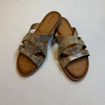 Born NEW Tepati Slide Sandal Footwear Women Metallic Gold Leather Strappy Sz 8 Silver Photo 2