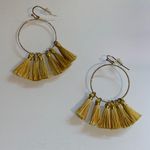 Francesca's Tassel Earrings Photo 0