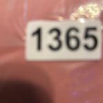 Rachel Parcell ‎ NWT Pink Compact  Bow Sleeve Dress Size Large Photo 10