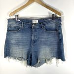 Nicole Miller  NOMAD‎ Super High Rise Classic Fit Shorts women’s Size 12 Photo 0