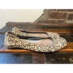 Toms Slip On Animal Print Casual Flats Shoes Womens Size US 8 Photo 1