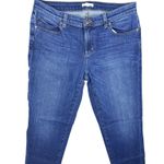 Eileen Fisher  Organic Cotton Stretch Denim Jean Pant Womens 8 Medium Wash Photo 1