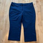 Liz Claiborne Women’s Blue Zip Up Polyester & Spandex Pants Photo 0