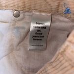 PacSun Light Tan Corduroy Pants with Blue Accents Photo 10