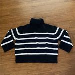 ZARA  Black and White Ribbed Turtleneck Photo 0