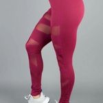 Buffbunny  Anastasia Mesh Leggings High Rise Sheer Red Burgundy athletic Pants S Photo 0