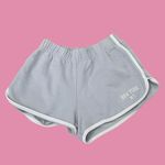 Brandy Melville  light blue sweat shorts Photo 1