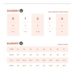 Sundry  puff sleeve floral blouse size 1 (small) Photo 1