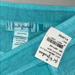 Fresh Produce  NWT Size XL Neptune Blue 100% Cotton Broadcloth Skirt Photo 2