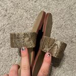 ALDO  flats size 9‎ snakeskin Photo 5