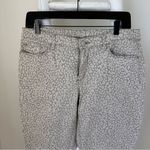 Loft Modern Skinny Ankle Zip Jeans in Animal Print SZ 31/12 Photo 1