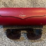 Cartier  Panthere Buffalo Horn Sunglasses Photo 0
