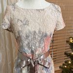 Adrianna Papell  Matelassé Column Gown Blush Multicolor Metallic Size 6 NWT Photo 3