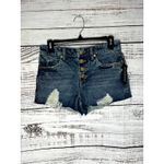 BLANK NYC The Barrow Vintage High Rise Short Distressed NWT 25 Photo 1