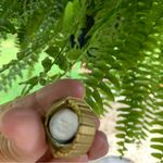 Quartz Digital LCD Ring Watch Expansion Band Gold Toned UNTESTED Needs Battery Photo 2