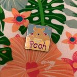 Disney Winnie the Pooh trading pin hundred acre wood Photo 4