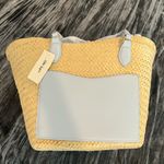 Blue and Tan Women’s Straw Tote Bag by On 34th Photo 1