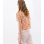 ZARA  Peach Guipure Lace Button Up Top Size Small Photo 1