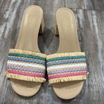 J.Crew  Faux Raffia Block Heel Mule Sandal 8 Photo 2