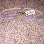 Carlisle BNWT Blue Snake Skin  Leather Skinny Belt Size XS Photo 6