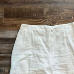 Abercrombie & Fitch Linen Skirt Photo 0